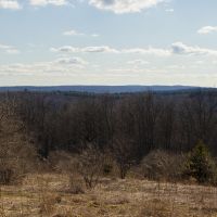 5 acres Bordering State Forest Smyrna NY images 2