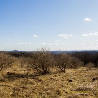 5 acres Bordering State Forest Smyrna NY images 6