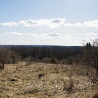 5 acres Bordering State Forest Smyrna NY images 4