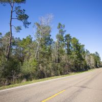 287 Acres &nbsp; FM 355 &nbsp; Brushy Creek &nbsp;   Tract A2 images 5
