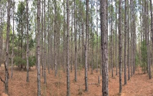 Carter Tract featured image