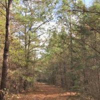 Carter Tract images 4