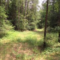Tomlin Mill Creek Tract images 3