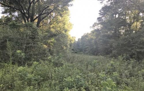 County Road 522 Tract featured image