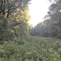 County Road 522 Tract
