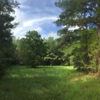 Pine Forest Road Tract images 2