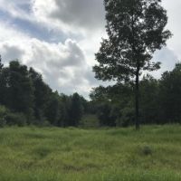 Pine Forest Road Tract images 3
