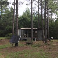 Pine Forest Road Tract images 6
