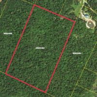 42 acres Custom Built Cabin in the Adirondack Park in Cold Brook NY 465 Christman Road images 4