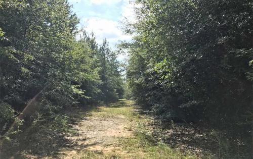 Canoe Creek Tract featured image