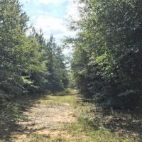 Canoe Creek Tract