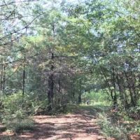 Canoe Creek Tract images 3
