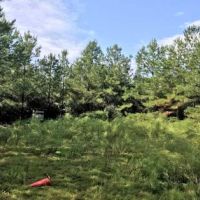 Canoe Creek Tract images 4