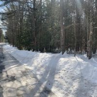 33 acres Cabin Adjacent to Great Sacandaga Lake in Edinburg NY Oakes Road images 6