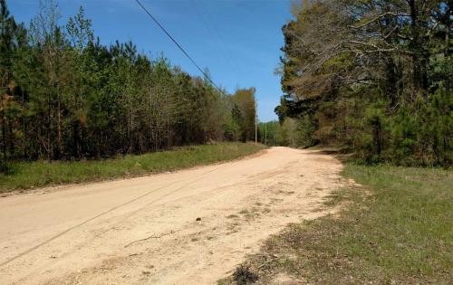 Little Mulberry Creek Tract featured image