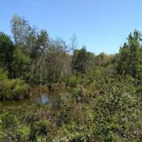 Little Mulberry Creek Tract images 4