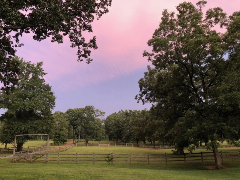 Little Creek Preserve Lot featured image