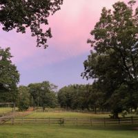 Little Creek Preserve Lot