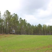 Little Creek Preserve Lot images 4