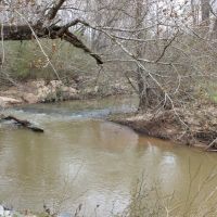 Little Creek Preserve Lot images 6