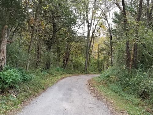 30.08  -acres Hunting Property for only  45K featured image