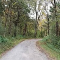 30.08  -acres Hunting Property for only  45K