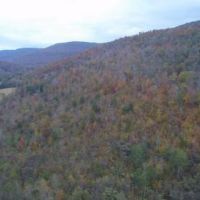 30.08  -acres Hunting Property for only  45K images 2