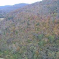30.08  -acres Hunting Property for only  45K images 3