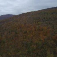 30.08  -acres Hunting Property for only  45K images 5