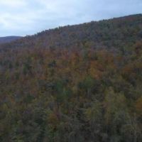 30.08  -acres Hunting Property for only  45K images 6