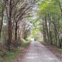 46.16  -acres Beautiful Hunting Land images 3