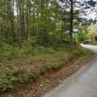 46.16  -acres Beautiful Hunting Land images 4