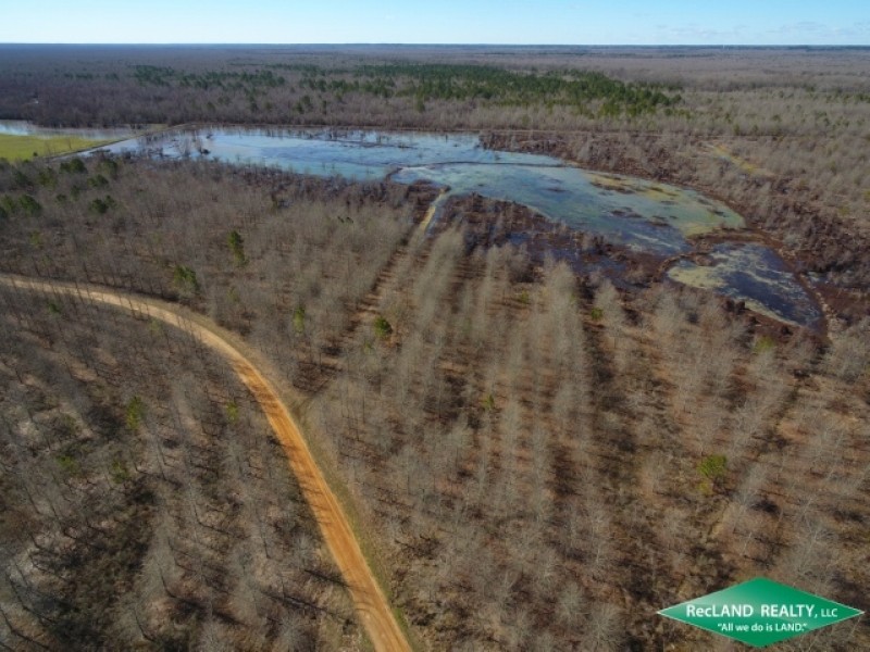 195 ac - Deer &nbsp; Duck Hunting Adjoining Wildlife Refuge featured image