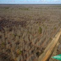 195 ac - Deer &nbsp; Duck Hunting Adjoining Wildlife Refuge images 2