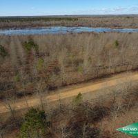 195 ac - Deer &nbsp; Duck Hunting Adjoining Wildlife Refuge images 6