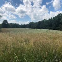 47 acres m l  Appanoose Co.&nbsp; IA images 5