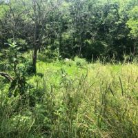 47 acres m l  Appanoose Co.&nbsp; IA images 6