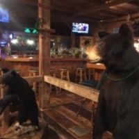 Established Restaurant and Tavern Redfield NY images 5