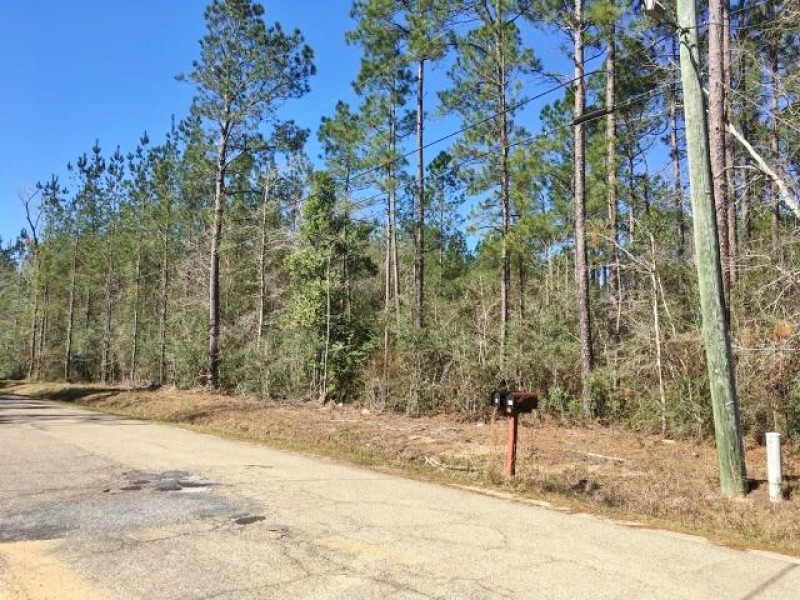 20 Acres Pine Grove Hunting Land &nbsp; Home Site Picayune MS featured image