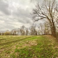 Whitetail &nbsp; Trout Retreat For Sale in Southwest Wisconsin images 4