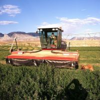 1100 Hay and Cattle Farm Ranch Greybull  Wyoming images 4