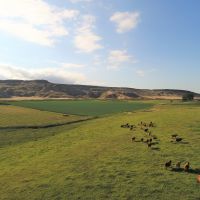 1100 Hay and Cattle Farm Ranch Greybull  Wyoming