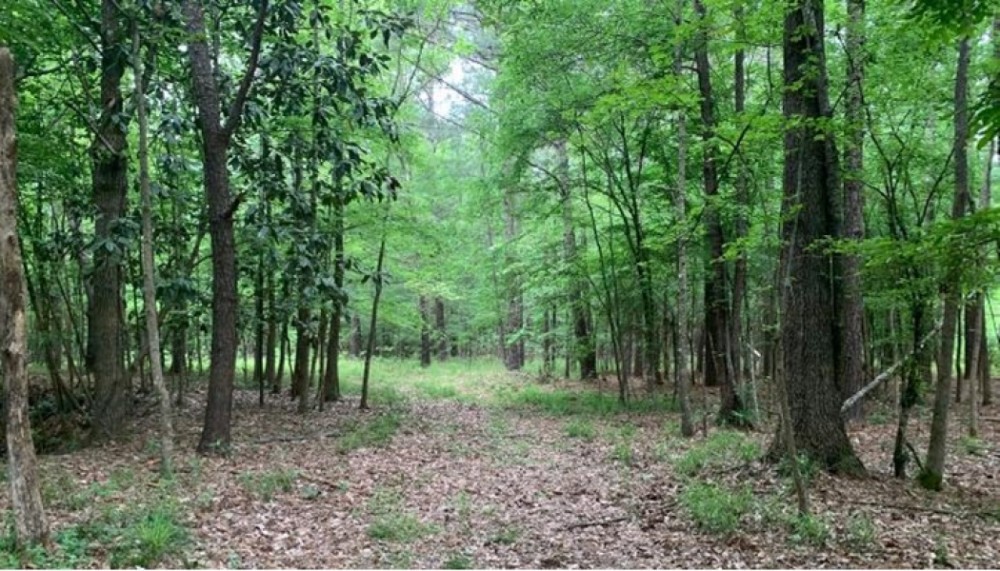184 Acres in Lincoln County in Brookhaven  MS featured image