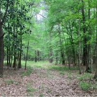184 Acres in Lincoln County in Brookhaven  MS