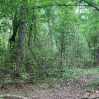 184 Acres in Lincoln County in Brookhaven  MS images 4