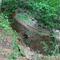 184 Acres in Lincoln County in Brookhaven  MS images 5