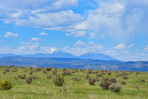 Patton Arroyo Ranch For Sale featured image