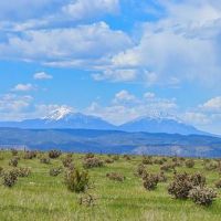 Patton Arroyo Ranch For Sale