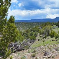 Patton Arroyo Ranch For Sale images 2