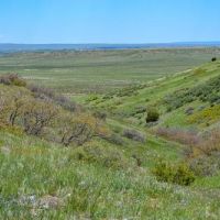 Patton Arroyo Ranch For Sale images 6